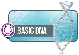ThetaHealing® Basic DNA Practitioners