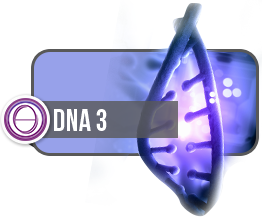 ThetaHealing®DNA3 Practitioners